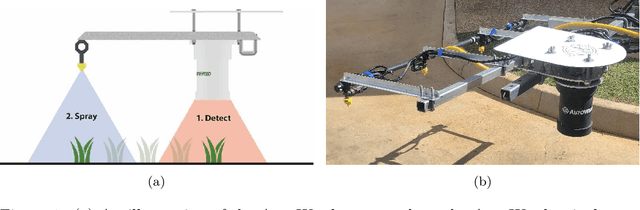 Figure 1 for Precise Robotic Weed Spot-Spraying for Reduced Herbicide Usage and Improved Environmental Outcomes -- A Real-World Case Study