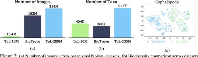 Figure 2 for BioCLIP 2: Emergent Properties from Scaling Hierarchical Contrastive Learning