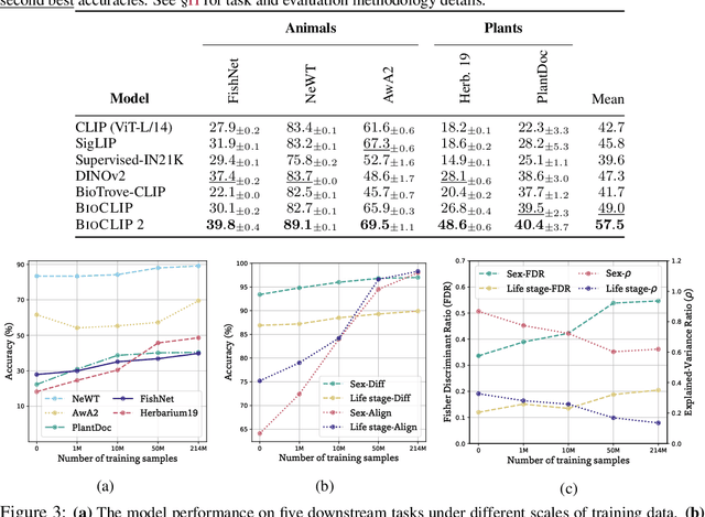 Figure 3 for BioCLIP 2: Emergent Properties from Scaling Hierarchical Contrastive Learning