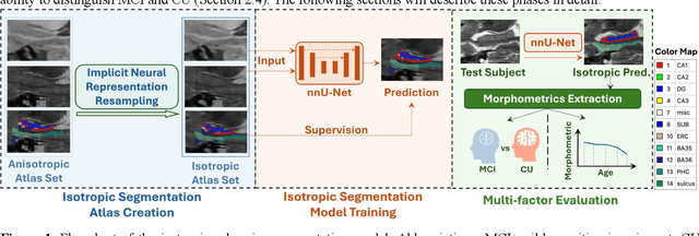 Figure 1 for Development of an isotropic segmentation model for medial temporal lobe subregions on anisotropic MRI atlas using implicit neural representation