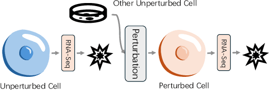 Figure 1 for Departures: Distributional Transport for Single-Cell Perturbation Prediction with Neural Schrödinger Bridges