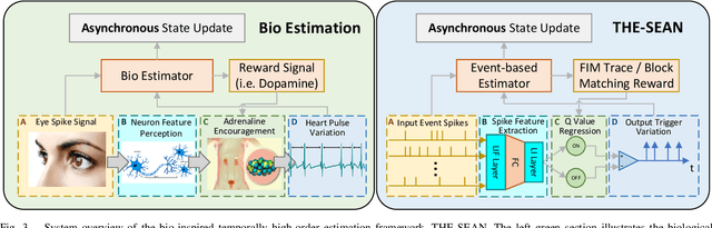 Figure 3 for THE-SEAN: A Heart Rate Variation-Inspired Temporally High-Order Event-Based Visual Odometry with Self-Supervised Spiking Event Accumulation Networks