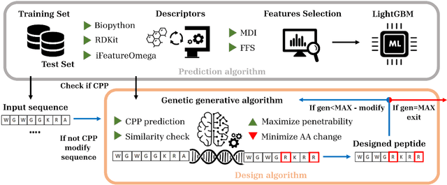 Figure 1 for LightCPPgen: An Explainable Machine Learning Pipeline for Rational Design of Cell Penetrating Peptides