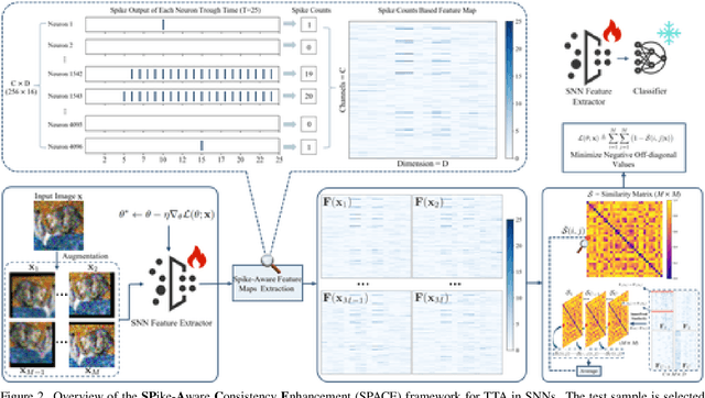 Figure 3 for SPACE: SPike-Aware Consistency Enhancement for Test-Time Adaptation in Spiking Neural Networks