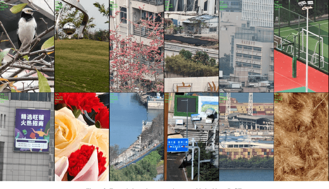 Figure 3 for NTIRE 2024 Restore Any Image Model in the Wild Challenge