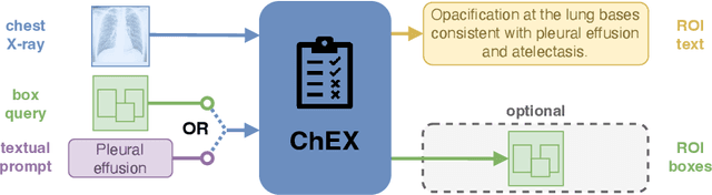 Figure 1 for ChEX: Interactive Localization and Region Description in Chest X-rays