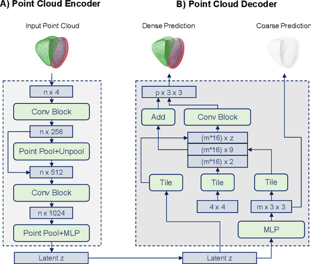 Figure 2 for Modeling 3D cardiac contraction and relaxation with point cloud deformation networks