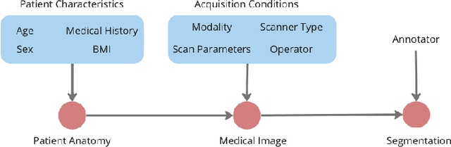 Figure 1 for Quantifying the Impact of Population Shift Across Age and Sex for Abdominal Organ Segmentation