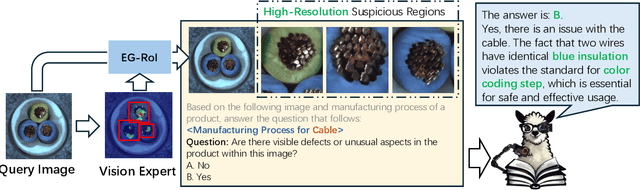 Figure 1 for Triad: Empowering LMM-based Anomaly Detection with Vision Expert-guided Visual Tokenizer and Manufacturing Process