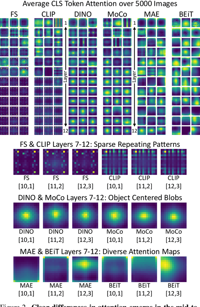 Figure 3 for Teaching Matters: Investigating the Role of Supervision in Vision Transformers