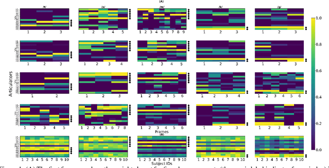 Figure 1 for Discovering phoneme-specific critical articulators through a data-driven approach