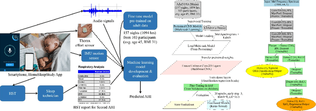 Figure 1 for Transfer Learning for Paediatric Sleep Apnoea Detection Using Physiology-Guided Acoustic Models