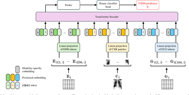 Figure 1 for Deep Learning-Based Noninvasive Screening of Type 2 Diabetes with Chest X-ray Images and Electronic Health Records
