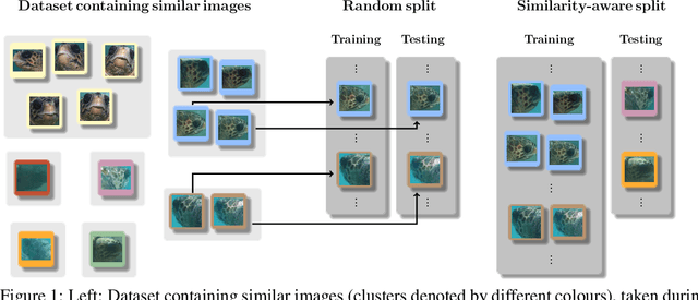 Figure 1 for WildlifeReID-10k: Wildlife re-identification dataset with 10k individual animals
