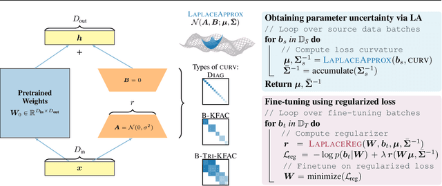 Figure 1 for Mitigating Forgetting in Low Rank Adaptation