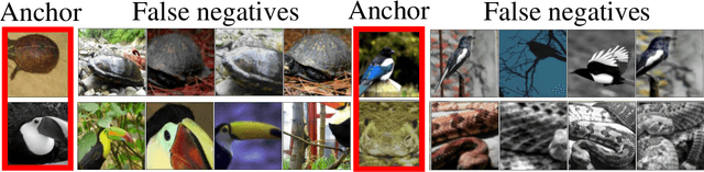 Figure 1 for Discovering Global False Negatives On the Fly for Self-supervised Contrastive Learning