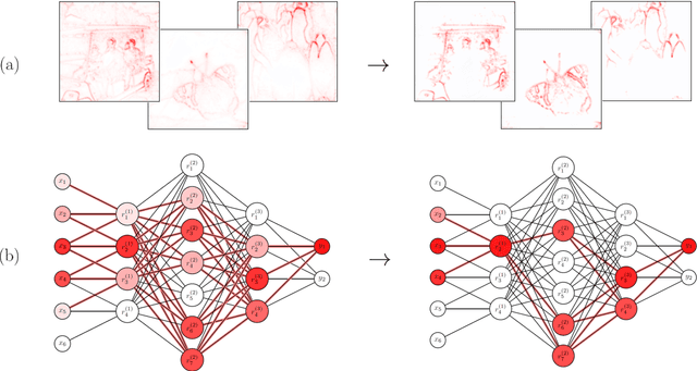 Figure 1 for Sparse Explanations of Neural Networks Using Pruned Layer-Wise Relevance Propagation