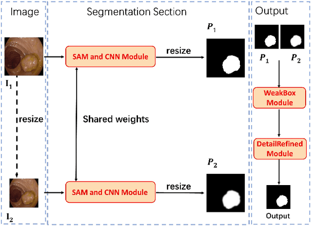 Figure 1 for BiSeg-SAM: Weakly-Supervised Post-Processing Framework for Boosting Binary Segmentation in Segment Anything Models