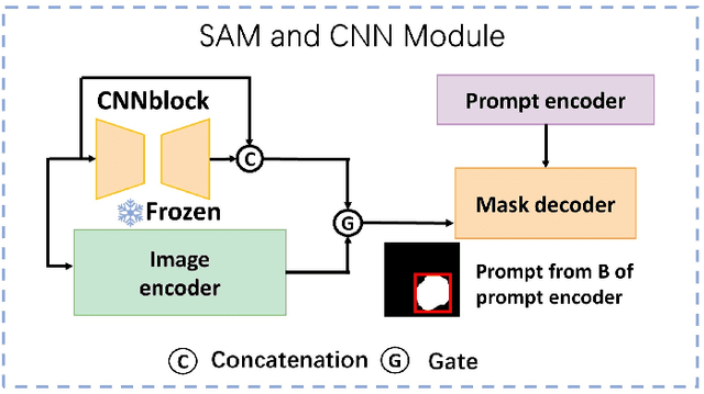 Figure 2 for BiSeg-SAM: Weakly-Supervised Post-Processing Framework for Boosting Binary Segmentation in Segment Anything Models