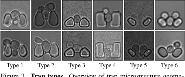 Figure 4 for The TYC Dataset for Understanding Instance-Level Semantics and Motions of Cells in Microstructures