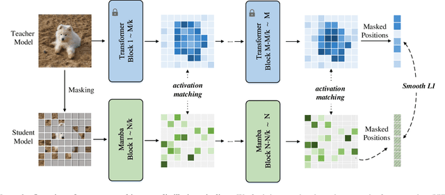 Figure 3 for ViT-Linearizer: Distilling Quadratic Knowledge into Linear-Time Vision Models
