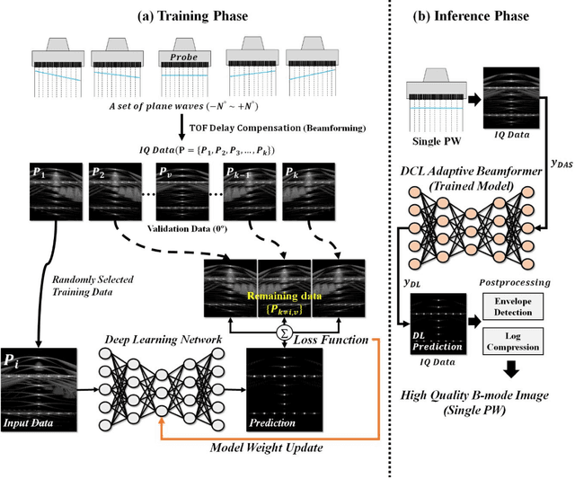 Figure 2 for Deep Coherence Learning: An Unsupervised Deep Beamformer for High Quality Single Plane Wave Imaging in Medical Ultrasound