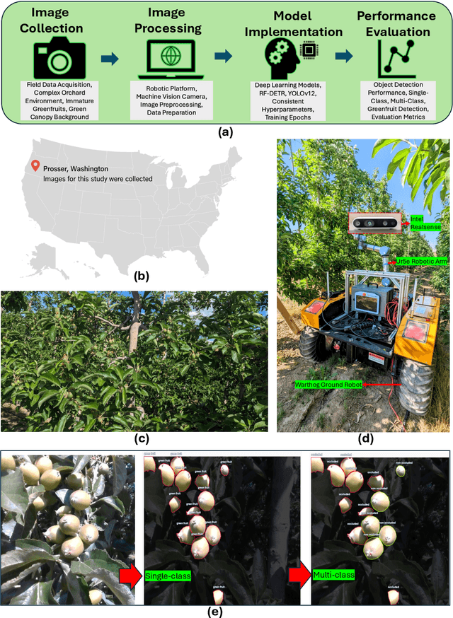 Figure 4 for RF-DETR Object Detection vs YOLOv12 : A Study of Transformer-based and CNN-based Architectures for Single-Class and Multi-Class Greenfruit Detection in Complex Orchard Environments Under Label Ambiguity