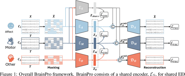 Figure 1 for BrainPro: Towards Large-scale Brain State-aware EEG Representation Learning