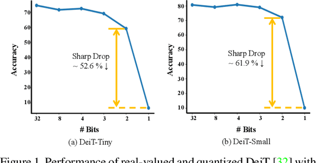 Figure 1 for Bi-ViT: Pushing the Limit of Vision Transformer Quantization