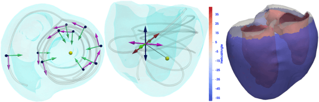 Figure 2 for Deep Representation Learning for Unsupervised Clustering of Myocardial Fiber Trajectories in Cardiac Diffusion Tensor Imaging