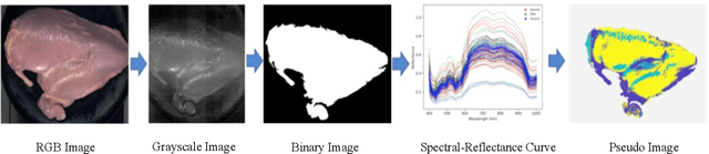 Figure 4 for Neural Network Architecture Search Enabled Wide-Deep Learning (NAS-WD) for Spatially Heterogenous Property Awared Chicken Woody Breast Classification and Hardness Regression