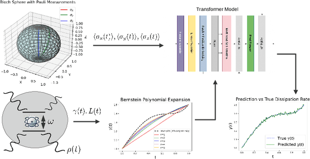 Figure 1 for Unraveling Quantum Environments: Transformer-Assisted Learning in Lindblad Dynamics