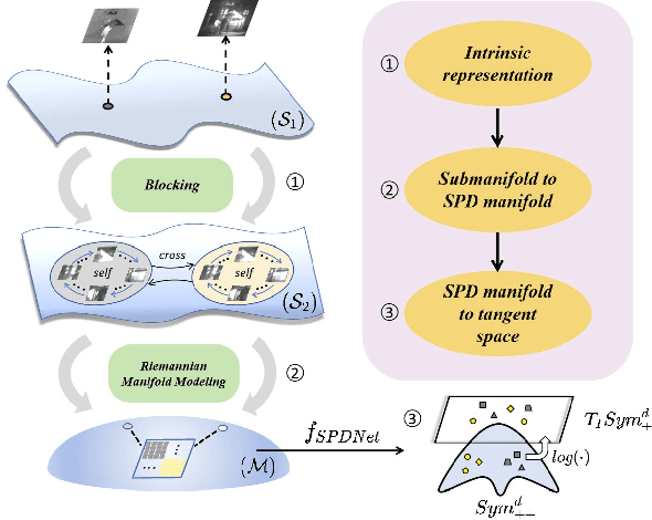 Figure 1 for SPDFusion: An Infrared and Visible Image Fusion Network Based on a Non-Euclidean Representation of Riemannian Manifolds
