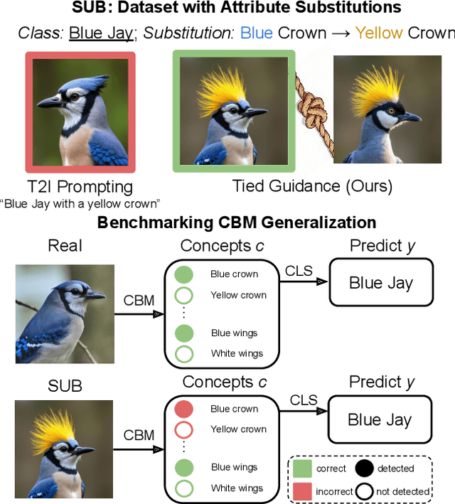 Figure 1 for SUB: Benchmarking CBM Generalization via Synthetic Attribute Substitutions
