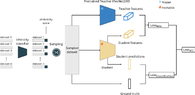 Figure 1 for How Knowledge Distillation Mitigates the Synthetic Gap in Fair Face Recognition