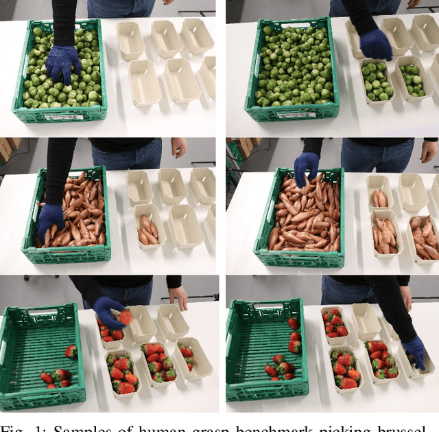 Figure 1 for Human-inspired Grasping Strategies of Fresh Fruits and Vegetables Applied to Robotic Manipulation