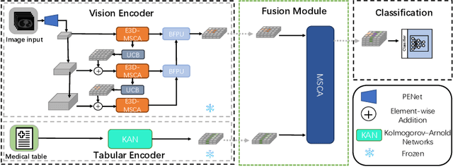Figure 1 for Small Lesions-aware Bidirectional Multimodal Multiscale Fusion Network for Lung Disease Classification