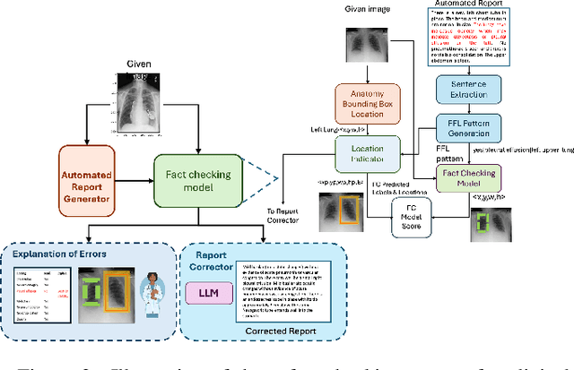 Figure 3 for Anatomically-Grounded Fact Checking of Automated Chest X-ray Reports