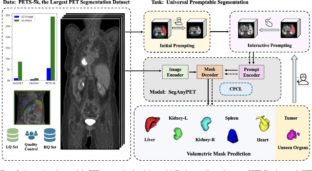 Figure 3 for SegAnyPET: Universal Promptable Segmentation from Positron Emission Tomography Images