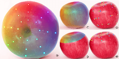 Figure 2 for DenseMatcher: Learning 3D Semantic Correspondence for Category-Level Manipulation from a Single Demo
