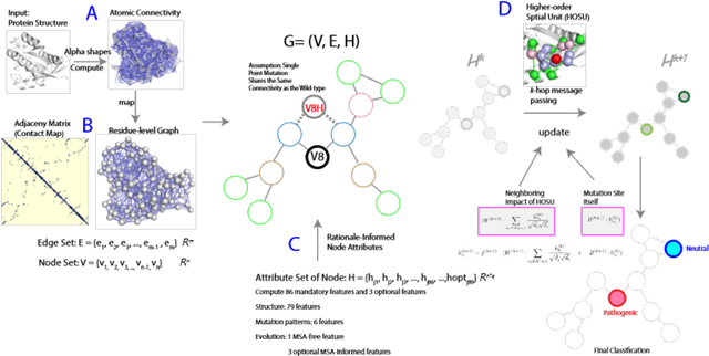 Figure 1 for ALPHAGMUT: A Rationale-Guided Alpha Shape Graph Neural Network to Evaluate Mutation Effects