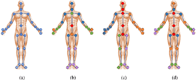 Figure 3 for HFGCN:Hypergraph Fusion Graph Convolutional Networks for Skeleton-Based Action Recognition