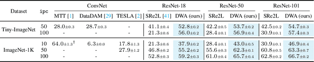 Figure 3 for Diversity-Driven Synthesis: Enhancing Dataset Distillation through Directed Weight Adjustment