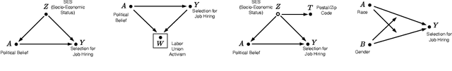 Figure 2 for Dissecting Causal Biases