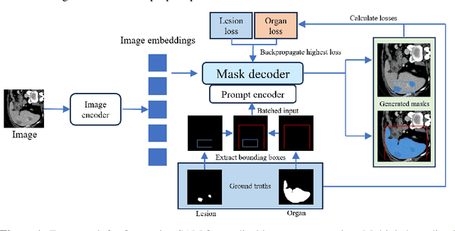 Figure 1 for Multi-Prompt Fine-Tuning of Foundation Models for Enhanced Medical Image Segmentation