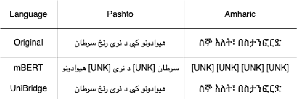 Figure 1 for UniBridge: A Unified Approach to Cross-Lingual Transfer Learning for Low-Resource Languages