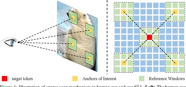 Figure 1 for Vision Transformer with Sparse Scan Prior