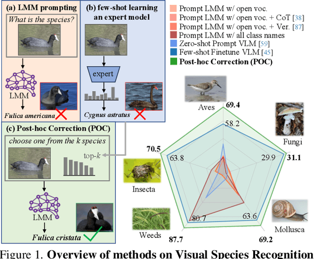 Figure 1 for Surely Large Multimodal Models (Don't) Excel in Visual Species Recognition?