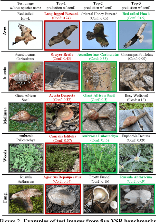 Figure 3 for Surely Large Multimodal Models (Don't) Excel in Visual Species Recognition?