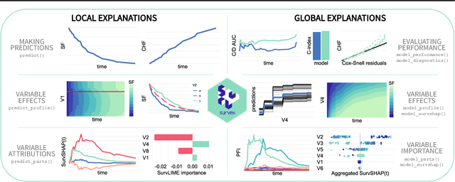 Figure 1 for survex: an R package for explaining machine learning survival models